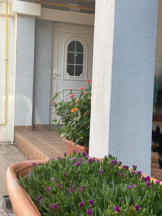 Maca I Ante Pavlovic Bed and Breakfast Međugorje Εξωτερικό φωτογραφία